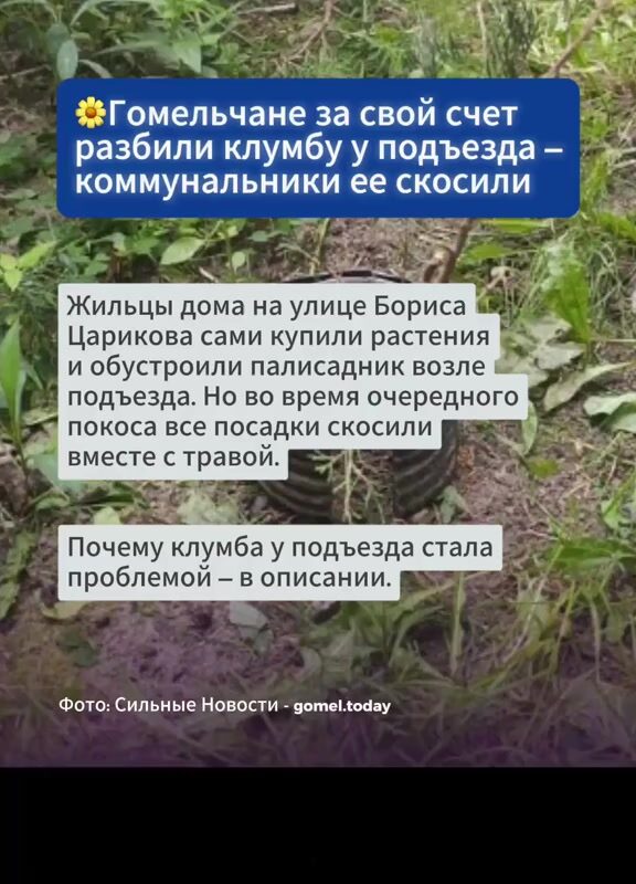 cover-23