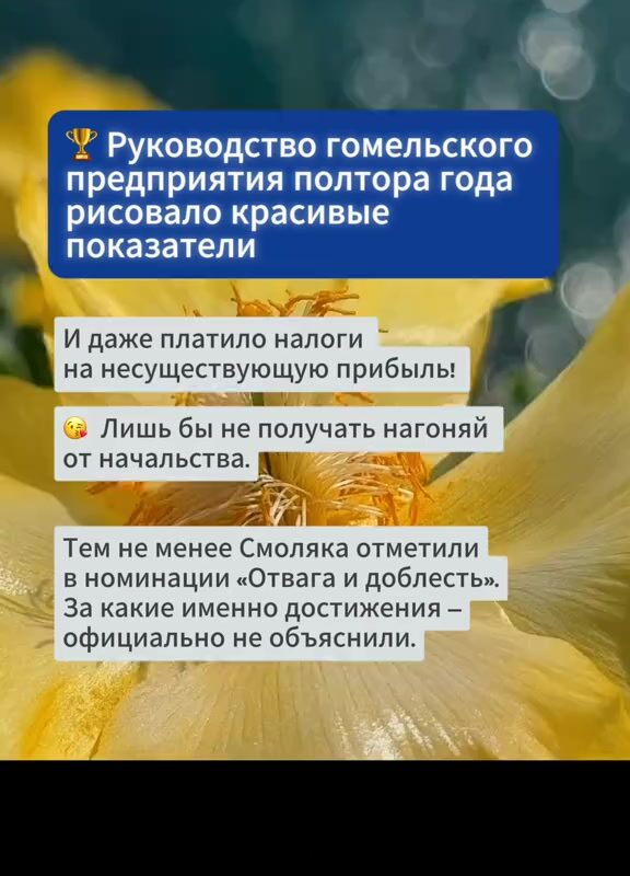 cover-38