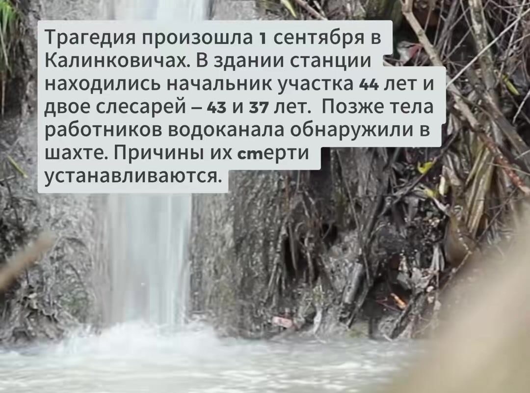 cover-6