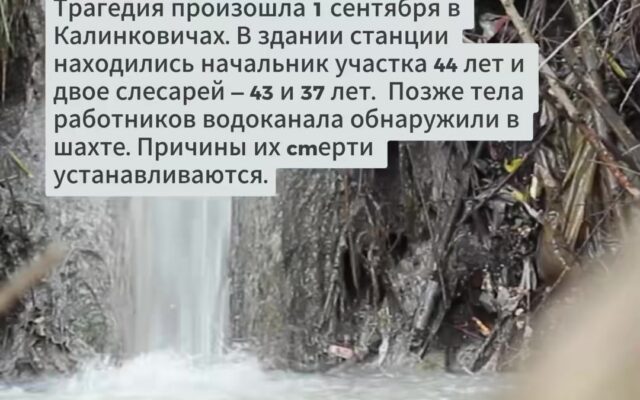 cover-6