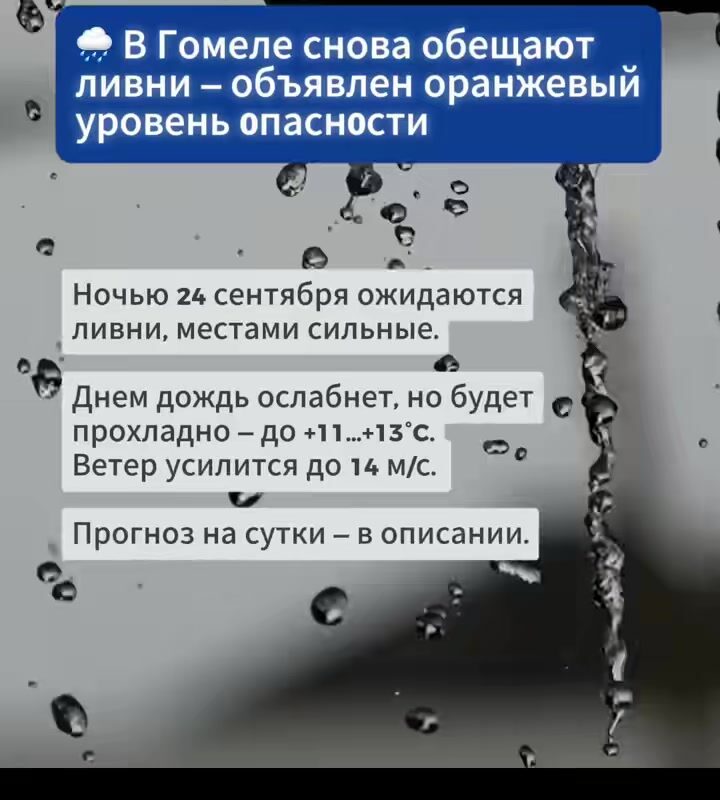 cover-66