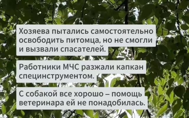 cover-69