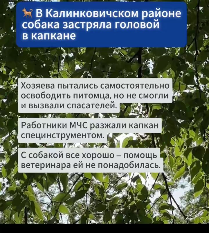 cover-69