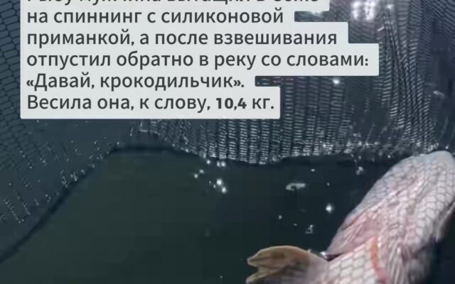 cover-85