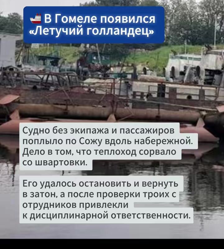 cover-86
