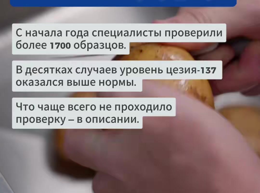 cover-95