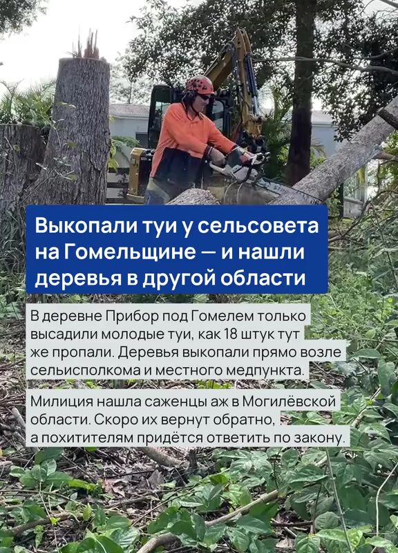 cover-58